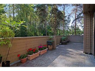 Photo 11: 101 9133 CAPELLA Drive in Burnaby: Simon Fraser Hills Townhouse for sale in "MOUNTAINWOOD" (Burnaby North)  : MLS®# V1139820