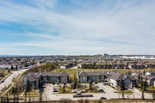 Photo 20: 203 2000 Citadel Meadow Point NW in Calgary: Citadel Apartment for sale : MLS®# A2129443