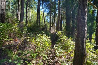 Photo 6: Lot 10 Cusheon Lake Rd in Salt Spring: Vacant Land for sale : MLS®# 959366