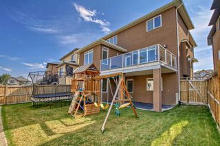 Photo 44: 167 Sherwood Hill NW in Calgary: Sherwood Detached for sale : MLS®# A2051696