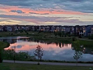 Photo 44: 368 Sunset View: Cochrane Detached for sale : MLS®# A1072920