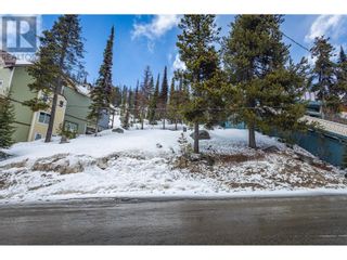 Photo 14: 7370 Porcupine Road in Big White: Vacant Land for sale : MLS®# 10304581