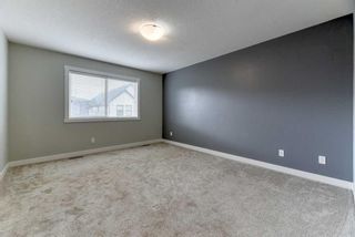 Photo 16: 1217 Copperfield Boulevard SE in Calgary: Copperfield Detached for sale : MLS®# A2141875