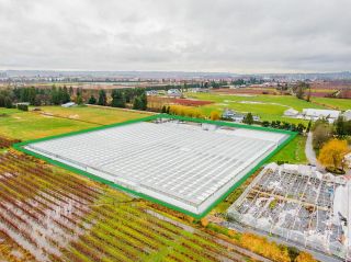 Photo 6: 13460 RIPPINGTON Road in Pitt Meadows: North Meadows PI Agri-Business for sale : MLS®# C8047627