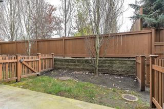 Photo 36: 8 8068 207 Street in Langley: Willoughby Heights Townhouse for sale in "Yorkson Creek South" : MLS®# R2871384