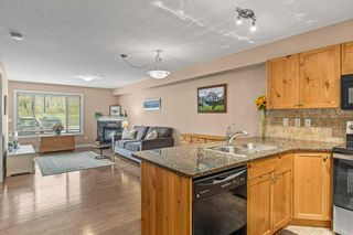 Photo 5: 115 300 Palliser Lane: Canmore Apartment for sale : MLS®# A2081547