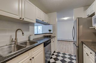 Photo 6: 103 1735 11 Avenue SW in Calgary: Sunalta Apartment for sale : MLS®# A2102771