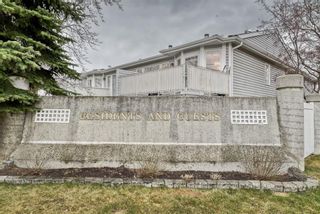 Photo 40: 4 Bow Landing NW in Calgary: Montgomery Semi Detached for sale : MLS®# A1185531