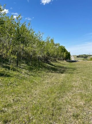 Photo 8: W: 5 R:3 T:26 S:3 SE Whitetail Road in Rural Rocky View County: Rural Rocky View MD Residential Land for sale : MLS®# A1118312