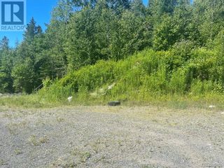 Photo 6: 1137 Route 170 in Oak Bay: Vacant Land for sale : MLS®# NB075049