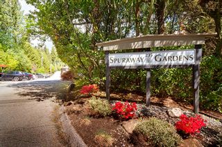 Photo 2: 703 235 KEITH Road in West Vancouver: Cedardale Condo for sale in "Spuraway Gardens" : MLS®# R2879708
