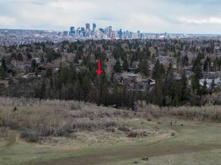 Photo 44: 409 Wildwood Drive SW in Calgary: Wildwood Detached for sale : MLS®# A2124647