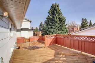 Photo 39: 5508 Dalhousie Drive NW in Calgary: Dalhousie Detached for sale : MLS®# A1212597