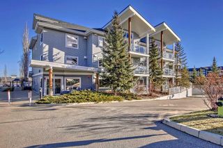 Photo 2: 211 380 Marina Drive: Chestermere Apartment for sale : MLS®# A2095203