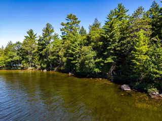 Photo 3: 16 Bigwin Island in Lake of Bays: House (Other) for sale : MLS®# X5727797