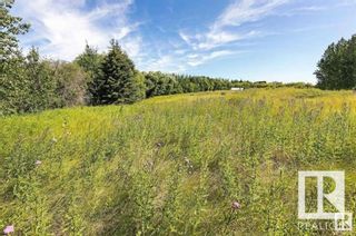 Photo 15: 54418 RGE RD 251: Rural Sturgeon County Vacant Lot/Land for sale : MLS®# E4392671