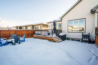 Photo 47: 27 Cranbrook Common SE in Calgary: Cranston Semi Detached (Half Duplex) for sale : MLS®# A2106093