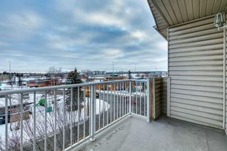 Photo 29: 409 15320 Bannister Road SE in Calgary: Midnapore Apartment for sale : MLS®# A2097958