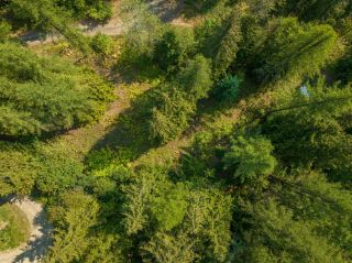 Photo 3: 2009 HAPPY VALLEY ROAD in Rossland: Vacant Land for sale : MLS®# 2472960