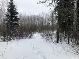 Photo 26: Recreational Land North-East of White Fox in Torch River: Lot/Land for sale (Torch River Rm No. 488)  : MLS®# SK909033