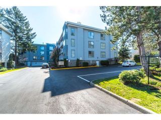 Photo 1: 206 20350 54 Avenue in Langley: Langley City Condo for sale in "Conventry Gate" : MLS®# R2350859