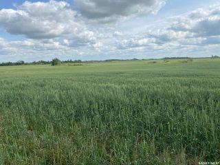 Photo 2: Murray Land in Mcleod: Farm for sale (Mcleod Rm No. 185)  : MLS®# SK948843