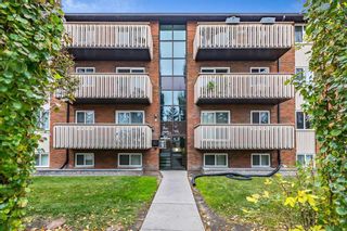 Photo 1: 212 11620 Elbow Drive SW in Calgary: Canyon Meadows Apartment for sale : MLS®# A2086620