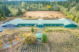 Main Photo: 2116 Alberni Hwy in Errington: PQ Errington/Coombs/Hilliers Mixed Use for sale (Parksville/Qualicum)  : MLS®# 946526