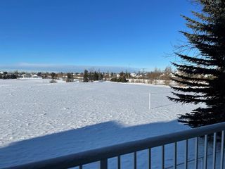 Photo 13: 205 60 Lawford Avenue: Red Deer Apartment for sale : MLS®# A2014426