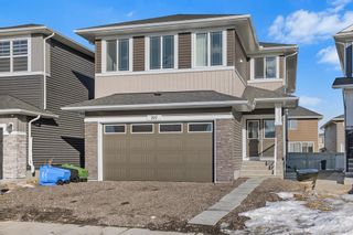 Main Photo: 207 Red Sky Crescent NE in Calgary: Redstone Detached for sale : MLS®# A2025326