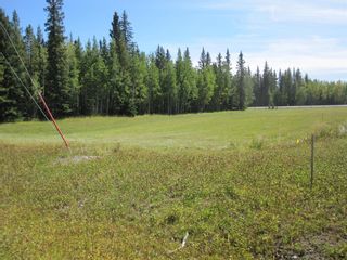 Photo 10: 52 Boundary Close: Rural Clearwater County Land for sale : MLS®# A1050688