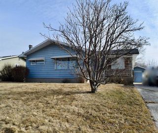 Main Photo: 664 12 Avenue S: Carstairs Detached for sale : MLS®# A2131668