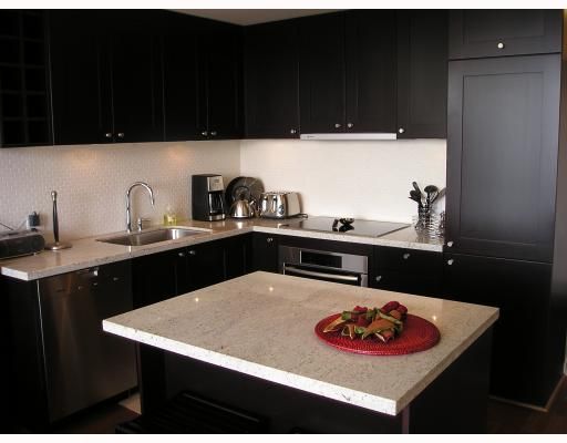 Main Photo: 905 821 CAMBIE Street in Vancouver: Downtown VW Condo for sale in "RAFFLES" (Vancouver West)  : MLS®# V761811