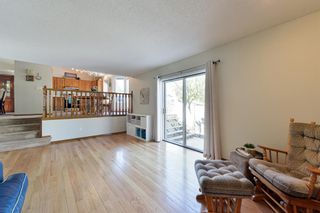Photo 11: 167 Shannon Circle SW in Calgary: Shawnessy Detached for sale : MLS®# A2051002