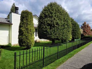 Photo 7: 9524 209B STREET in Langley: Walnut Grove House for sale : MLS®# R2676805