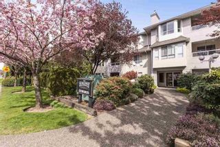 Photo 1: 105 6440 197 Street in Langley: Willoughby Heights Condo for sale in "Kingsway" : MLS®# R2603548