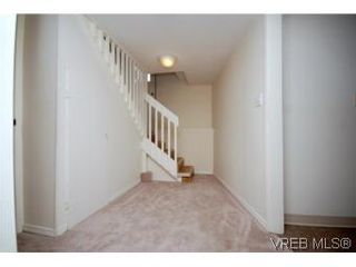 Photo 10: 593 Agnes St in VICTORIA: SW Glanford House for sale (Saanich West)  : MLS®# 491023