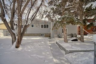 Photo 41: 1029 1 Street SW: High River Detached for sale : MLS®# A2026879