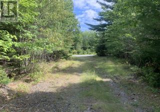 Photo 3: Lot Haines 2 Road in Midville Branch: Vacant Land for sale : MLS®# 202221123