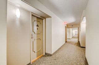 Photo 26: 212 2425 90 Avenue SW in Calgary: Palliser Apartment for sale : MLS®# A2027175