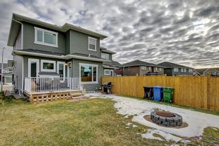 Photo 6: 86 Redstone Mews NE in Calgary: Redstone Semi Detached (Half Duplex) for sale : MLS®# A2029337