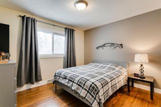 Photo 23: 4232 5 Avenue SW in Calgary: Wildwood Detached for sale : MLS®# A2021489