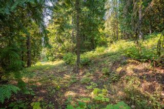 Photo 23: 2009 HAPPY VALLEY ROAD in Rossland: Vacant Land for sale : MLS®# 2472960