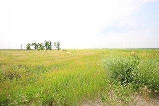 Photo 5: 2010 16 Road W in Rhineland: Vacant Land for sale : MLS®# 202320184