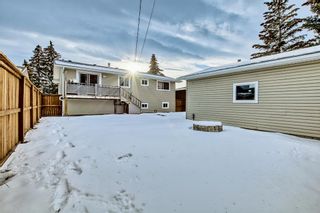 Photo 43: 28 Penworth Crescent SE in Calgary: Penbrooke Meadows Detached for sale : MLS®# A2016281