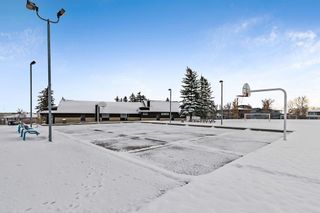 Photo 48: 206 43 Avenue SW in Calgary: Parkhill Full Duplex for sale : MLS®# A2091142