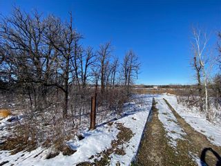 Photo 7: 0 Henderson Highway in St Clements: Vacant Land for sale : MLS®# 202329778