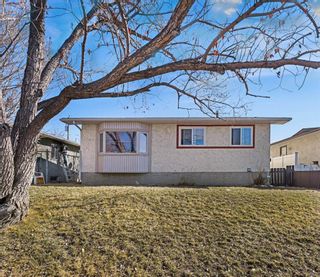 Main Photo: 119 Dovercliffe Way SE in Calgary: Dover Detached for sale : MLS®# A2116445