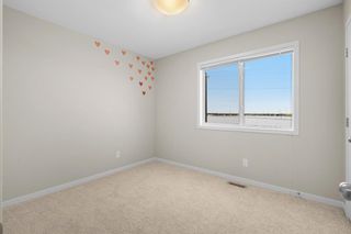 Photo 27: 138 Marquis Common SE in Calgary: Mahogany Detached for sale : MLS®# A2015247