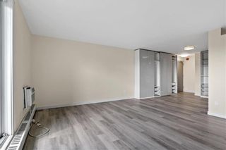 Photo 9: 402 175 Pulberry Street in Winnipeg: Pulberry Condominium for sale (2C)  : MLS®# 202324537